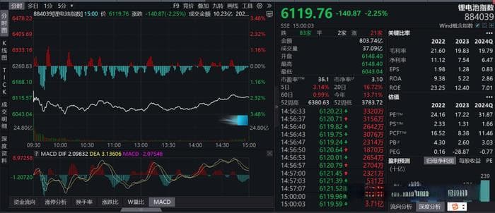 高位配售400亿，股民一手亏1.2万！比亚迪董秘：自夸一下，完成一件大事