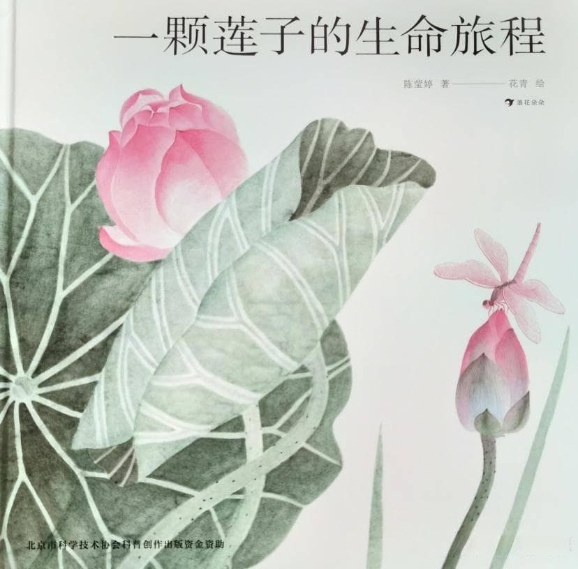 小荷才露尖尖角早有蜻蜓立上头的意境解析