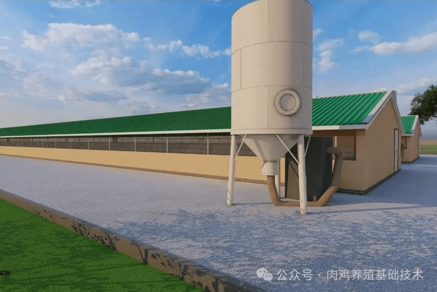 秋冬季鸡舍通风管理要点及鸡群多发病分析