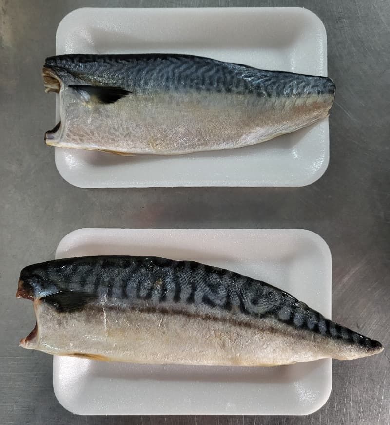 你吃的是哪種鯖魚？台灣鯖魚vs挪威鯖魚差異比較