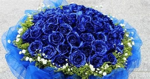 花语主题礼盒的寓意是什么？它传递了怎样的情感？