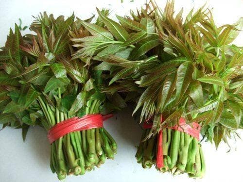 香椿芽焯水好还是不焯水好？你站哪边？