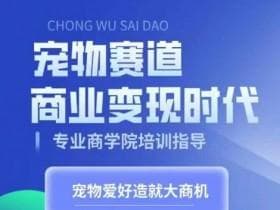 短视频运营如何实现盈利，从内容创作到变现的完整路径