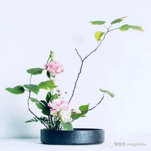 解析"插花弄玉"的含义