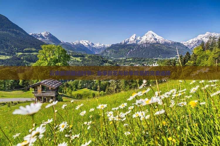 云南旅游更佳时节：春季赏花与秋季观景的完美选择
