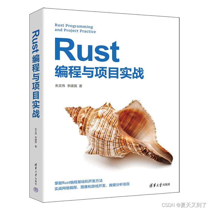 Rust编程语言的特点及其适合做什么