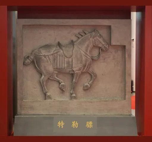 国宝望归·六骏重聚———昭陵六骏贺岁乙巳新春