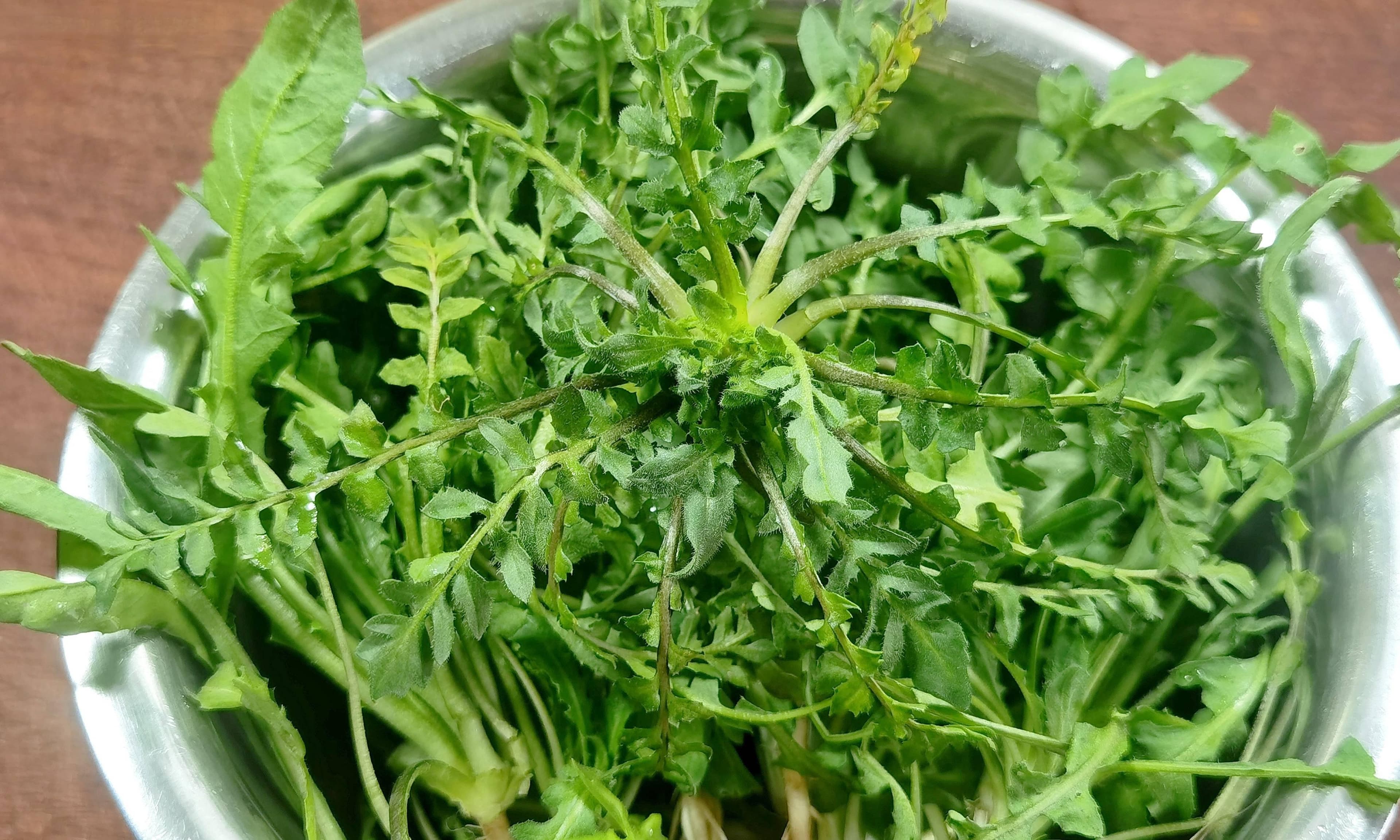 开春后，遇到这8种蔬菜别手软，都是应季新鲜菜，营养好吃又便宜