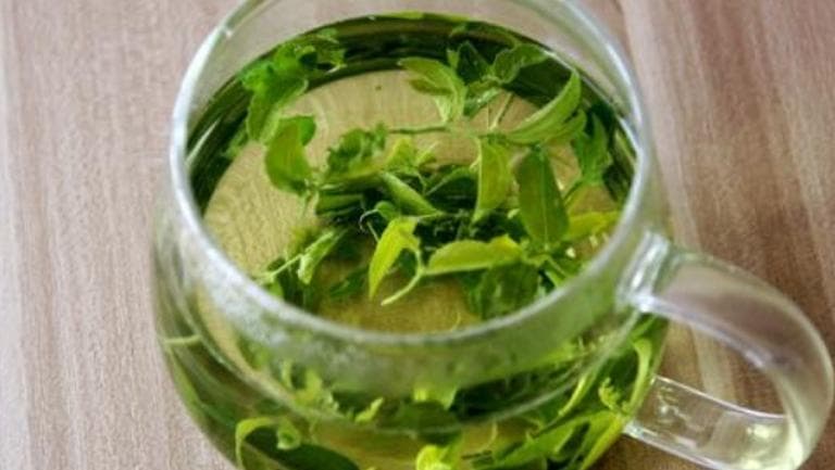 酸枣叶茶的功效与作用、禁忌和食用方法
