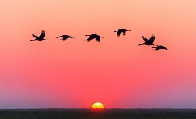 夕阳摄影完整指南，无论专业摄影师还是摄影爱好者，都会从中受益