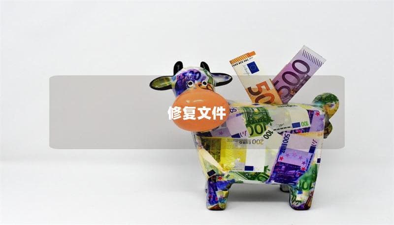 修复文件：解决数据损坏的专业指南