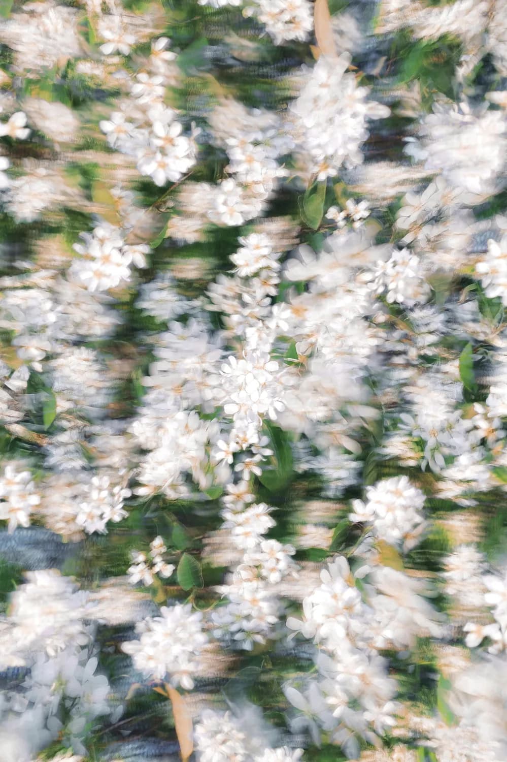 花裤子成电商平台新宠：背后经济揭秘