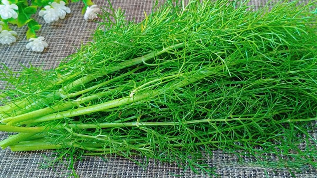 家常茴香饺子制作全攻略：7步教你做出皮薄馅大、香酥可口的美味