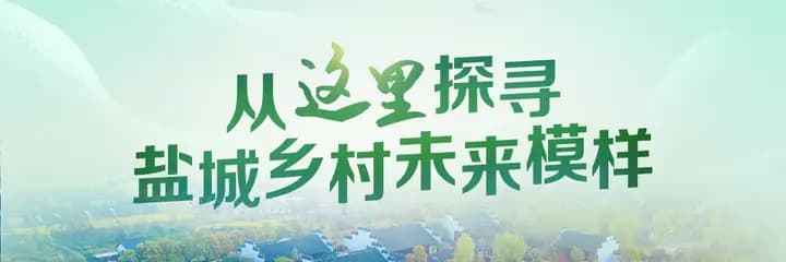 从这里探寻盐城乡村未来模样⑧｜云梯关村：千年古关的新面孔
