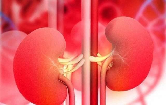 疲劳乏力？尿量减少？小心肾衰竭，8个因素都能导致衰竭