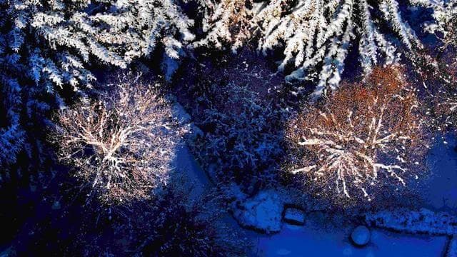 鹤岗暴风雪后，美成童话！