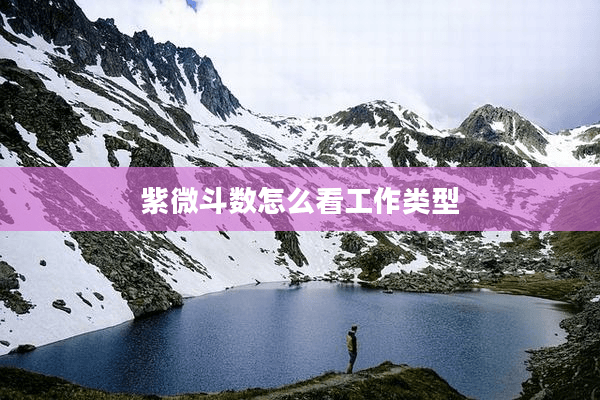 紫微斗数怎么看工作类型