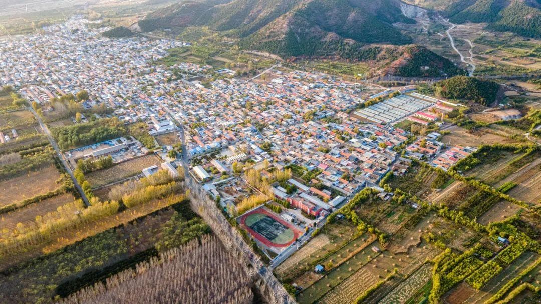 中国农大驻村干部沈其林：以"科技+人才+文化"驱动乡村振兴
