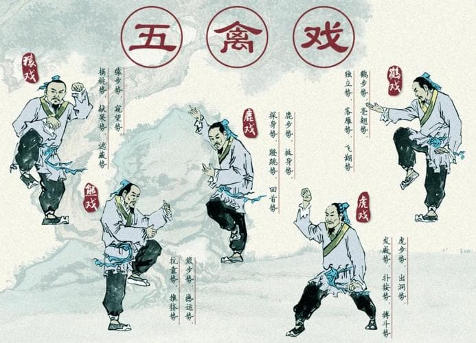 华佗秘传健身法——五禽戏，打开健身养生的大门