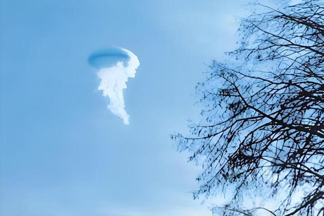 云层上的"另一个世界"？频繁被目击的"大气生物"！真的存在？