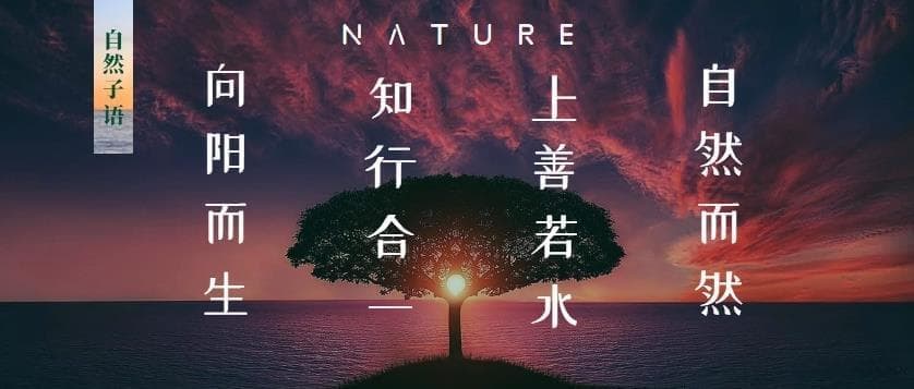 认知蚕食，煤气灯下的隐形霸凌：不可不知的NPD精神控制典型手段