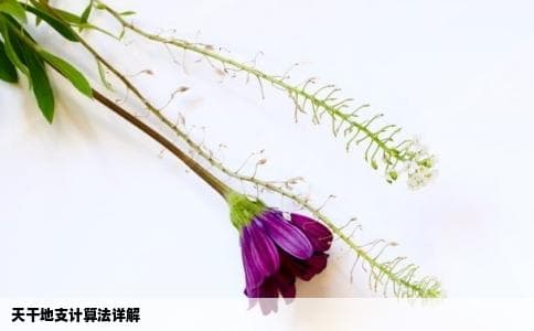 年五月怎么计算出年和月的天干地支详细步骤说明