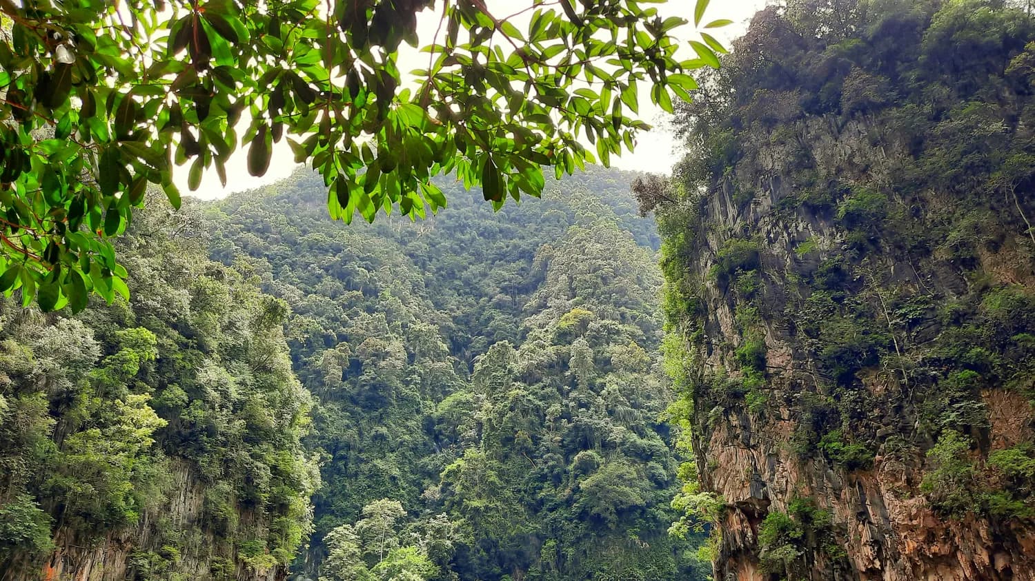 五指山动画新剧《我爱五指山》开机仪式举行