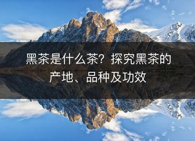黑茶是什么茶？探究黑茶的产地、品种及功效