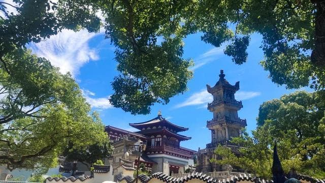 礼佛普陀山，三日游全攻略，详细路线都在这！