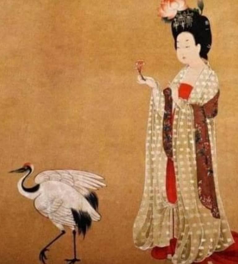 唐朝服饰文化：权力与审美的完美融合