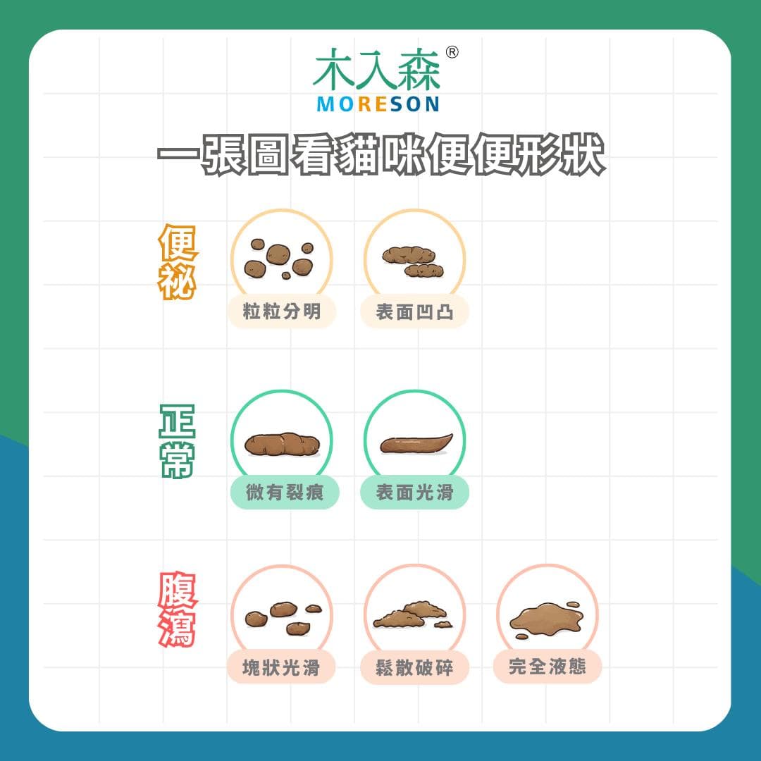 一张图读懂猫咪便便！便便形状、颜色、气味隐藏的健康密码