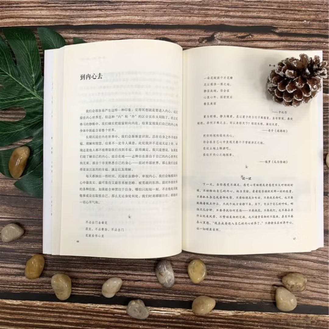 正念的力量：此刻就是美好