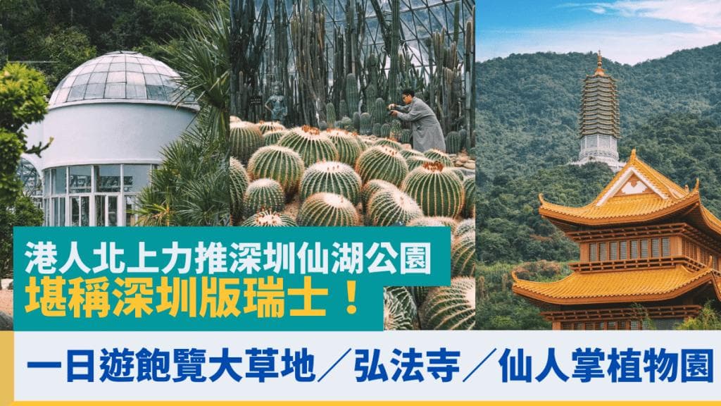 港人北上力推深圳仙湖公园！堪称为“深圳版瑞士”的一日游攻略