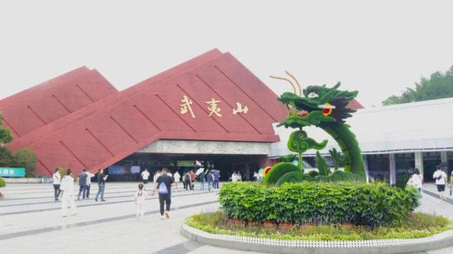 武夷山主景区恢复开园首日见闻：游人如织景如画