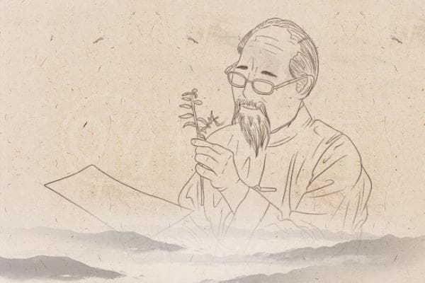 受风的中医辨证论治