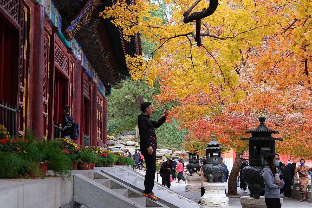 秋日出游去静安寺，体验宁静与庄严的秋日气氛吗？