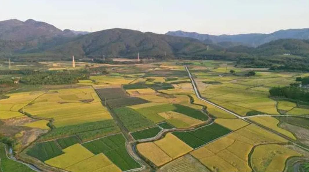 广东英德：践行绿色发展理念，探索种养循环农业新路径