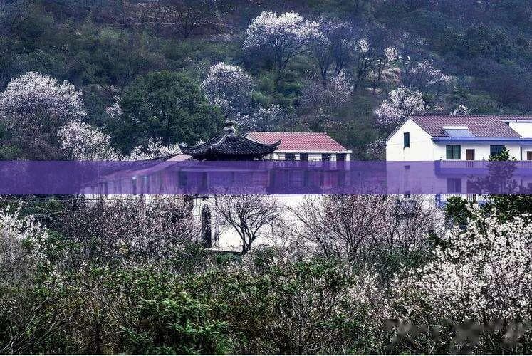 海南旅游景点大全铜鼓岭：徒步路线及山顶行程时间揭秘