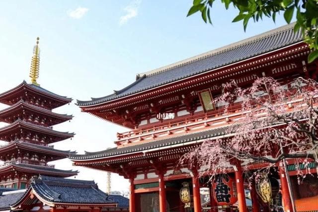 从皇居到迪士尼：东京十大旅游地标全攻略