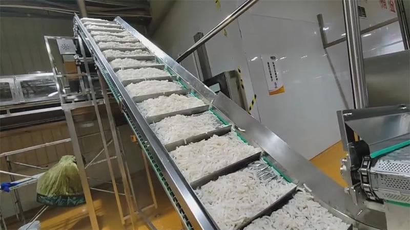 解锁魔芋爽新口感：魔芋爽生产线自动化、智能化升级