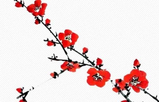 夫妻宫刑冲是什么意思？八字命理中的婚姻密码