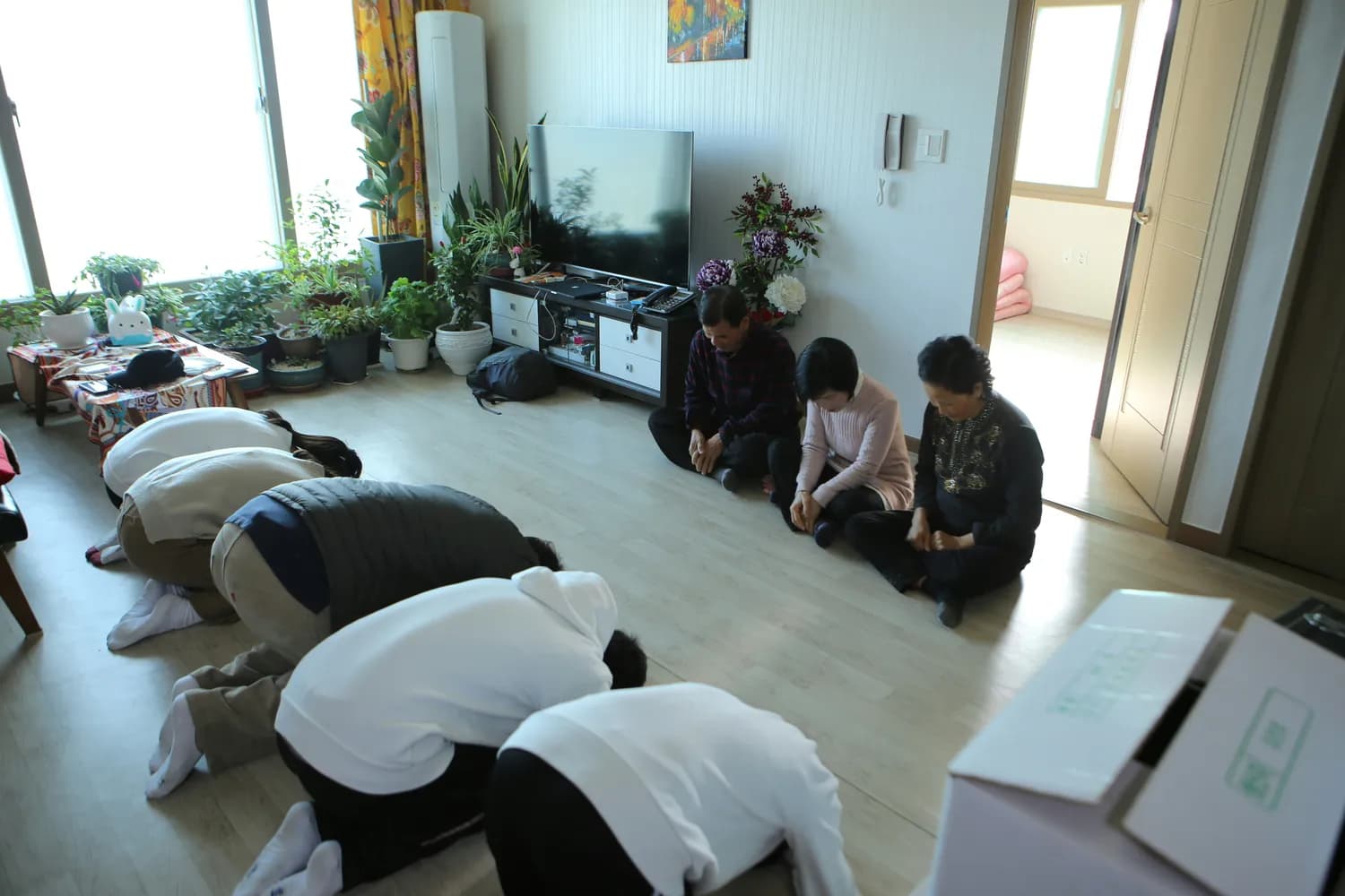 春节磕头礼：传统与现代的碰撞与融合