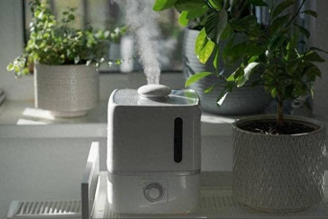 冬季干燥，加湿器来帮忙！几个细节不注意，加湿器秒变“小毒瓶”