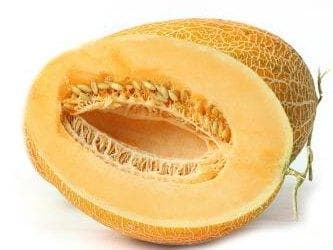 额济纳旗特产：从药材到手工艺品的地域文化名片