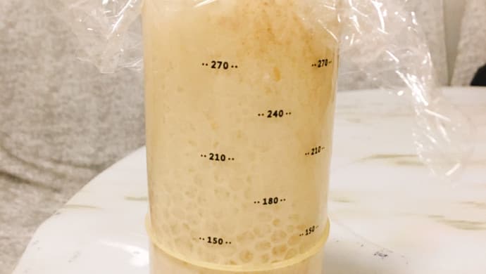 自制天然酵母：从零开始的详细教程