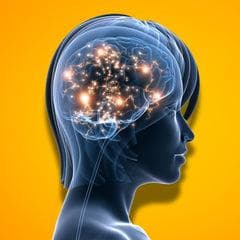 银杏、迷迭香等六种草药，科学证实可改善脑雾