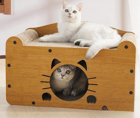 猫咪的温馨小窝——手把手教你选猫笼