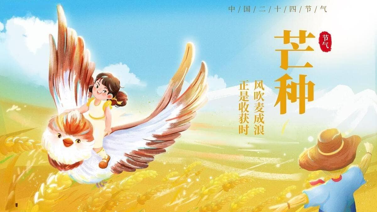 芒种节气种植什么农作物