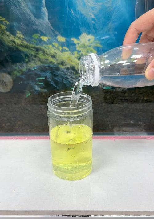 以自来水为基础的观赏鱼养殖方案（适合自来水环境下的观赏鱼养殖选择及技巧）