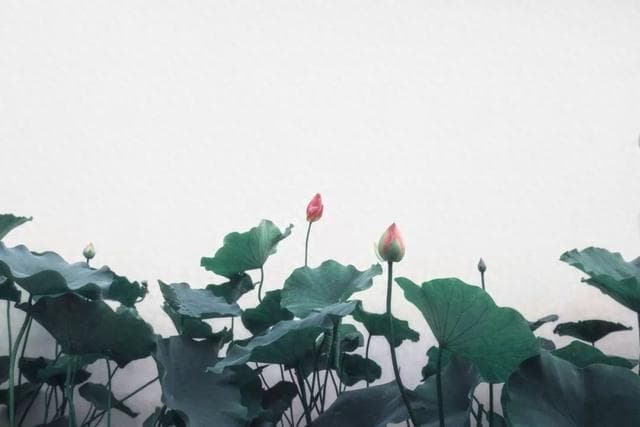 历史上最著名的四个梦